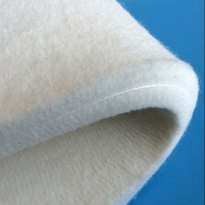 Importierte Wolle-Nomex-Nadel endloser Sanfor glaubte für ununterbrochenes Dekatieren
